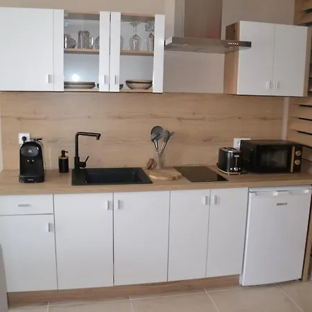 דירה La Parenthese סנט-אומר